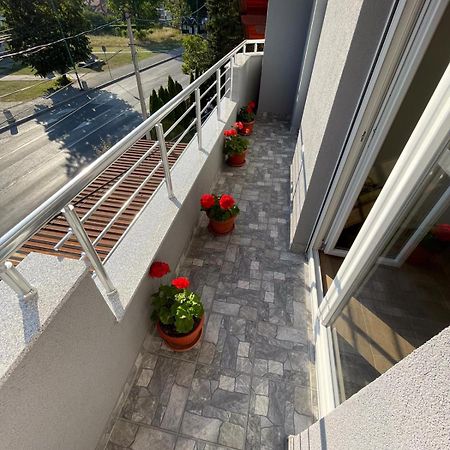 Apartman Ambijent アランジェロヴァツ エクステリア 写真