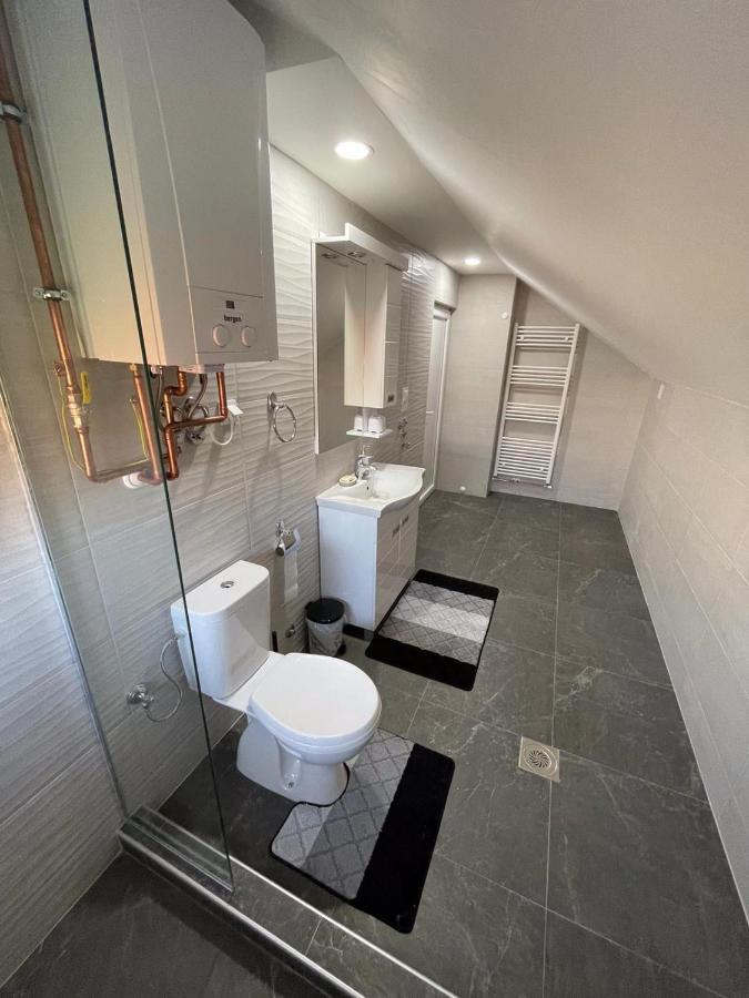 Apartman Ambijent アランジェロヴァツ エクステリア 写真