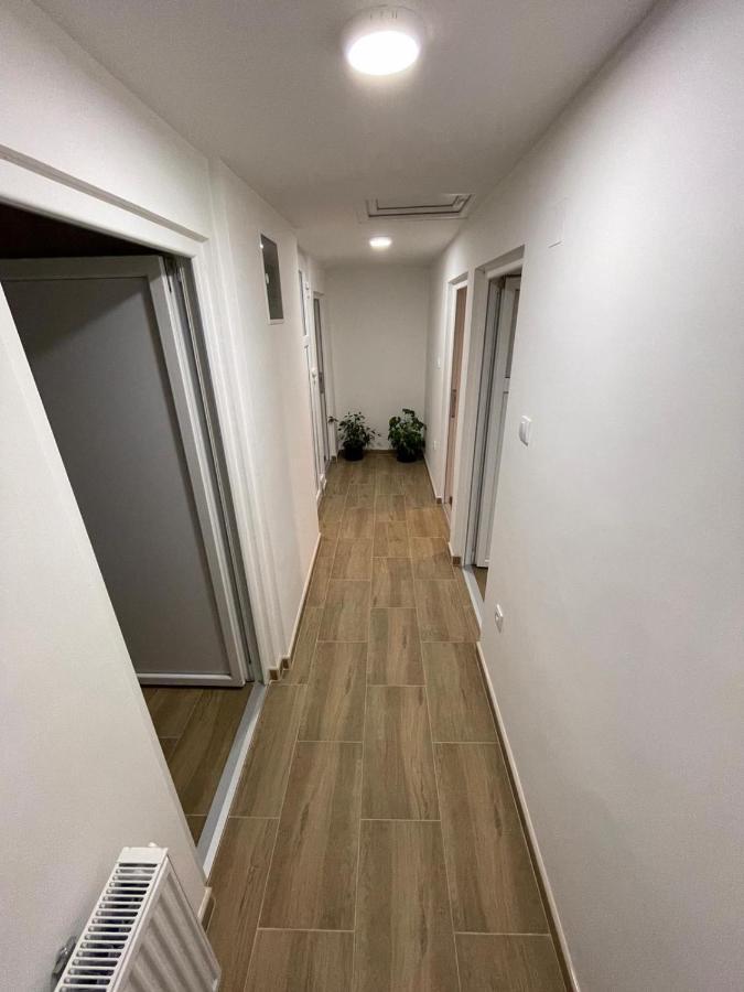 Apartman Ambijent アランジェロヴァツ エクステリア 写真